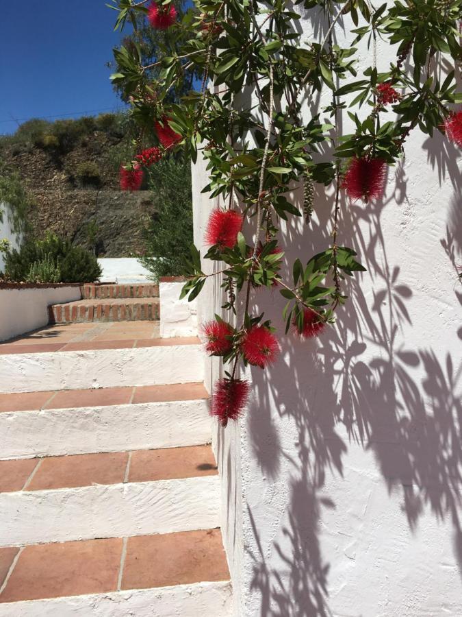 B&B And Apartments Cortijo La Zapatera Canillas de Aceituno Exteriör bild